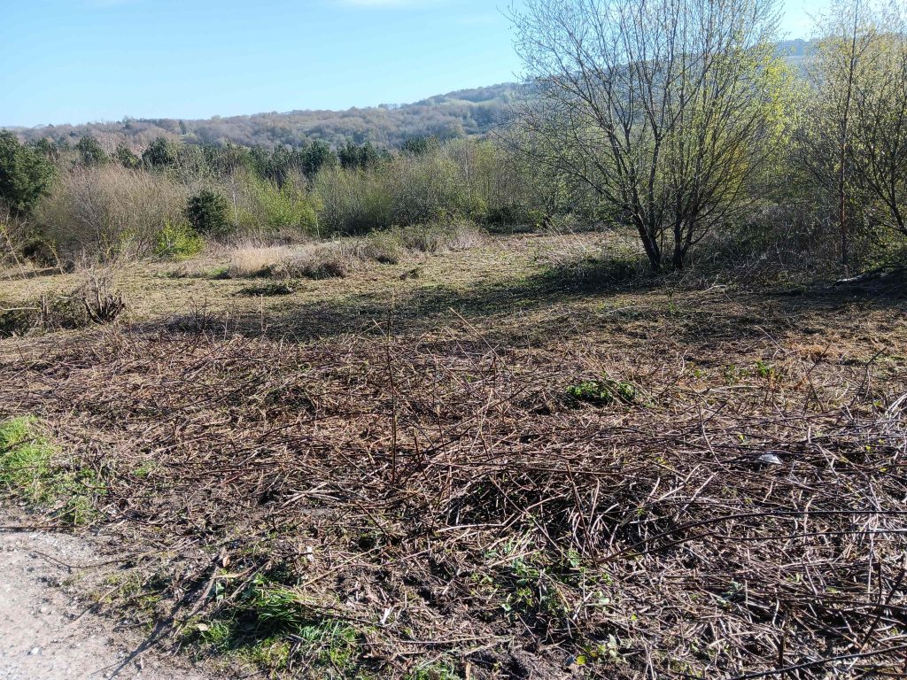 Hills and trees in the background, cut brambles in the foreground.