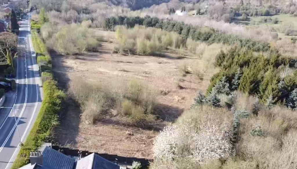 A drone image of the field showing the cut areas with little vegetation and several stands of small trees.