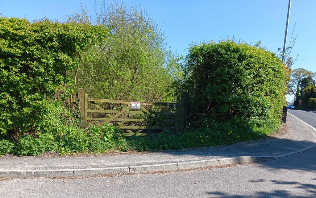 A wooden 5-bar gate with a high hawthorn hedge either side of it and trees in the background.