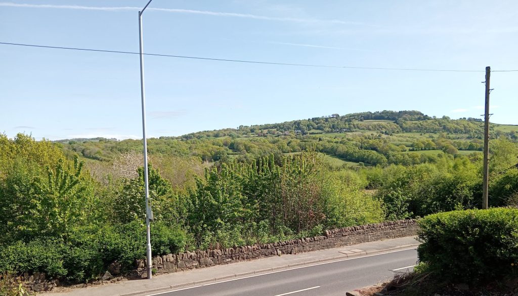 A road and stone wall in the foreground with bushes and trees behind the wall and hills in the background.