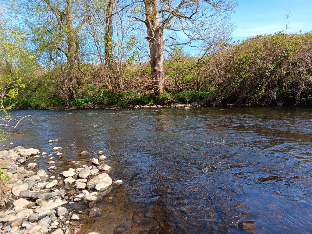 Shallow river with some pebbles on the nearside bank and trees on the far bank.