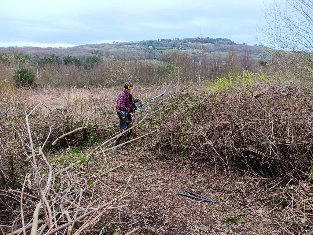 Simon wearing ear protectors and wirlding a large strimmer, surrounded by dense brambles.