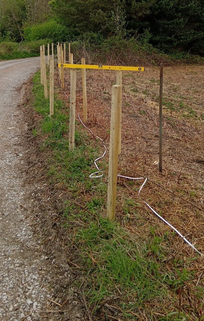 A double row of fence posts